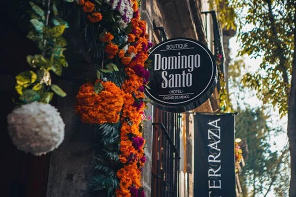 Domingo Santo Boutique (adults Only) 4* México DF