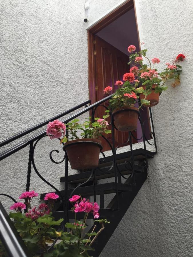 Cozy Private Hostel Mexico City