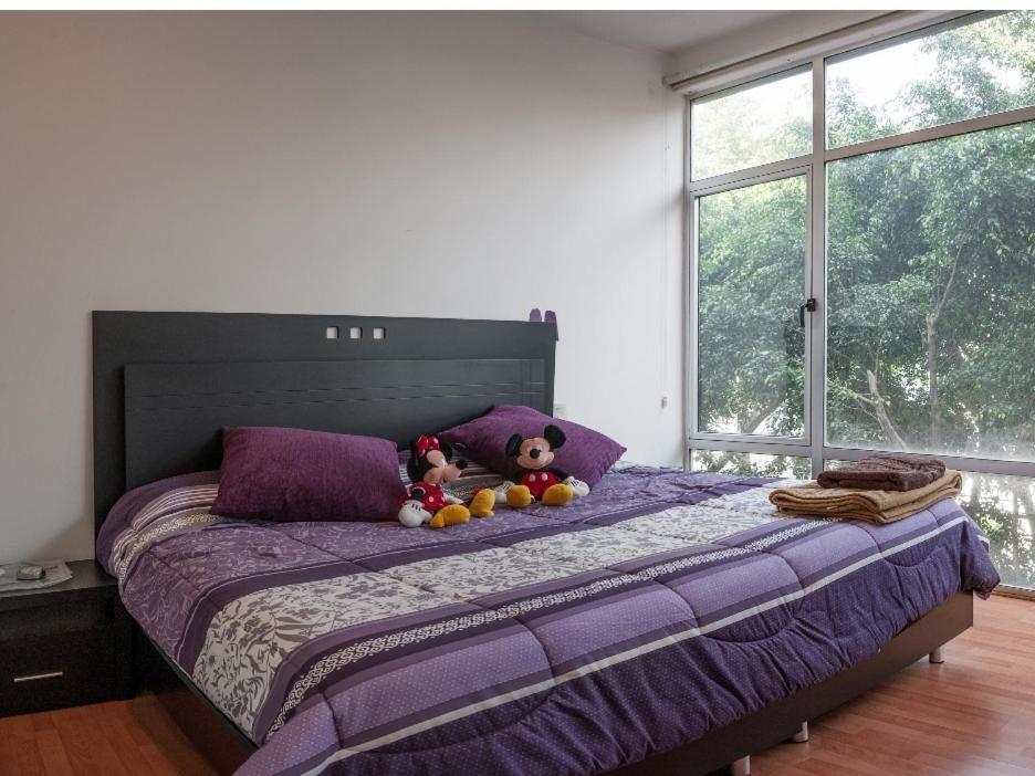 Hermoso Departamento Cerca De Todo