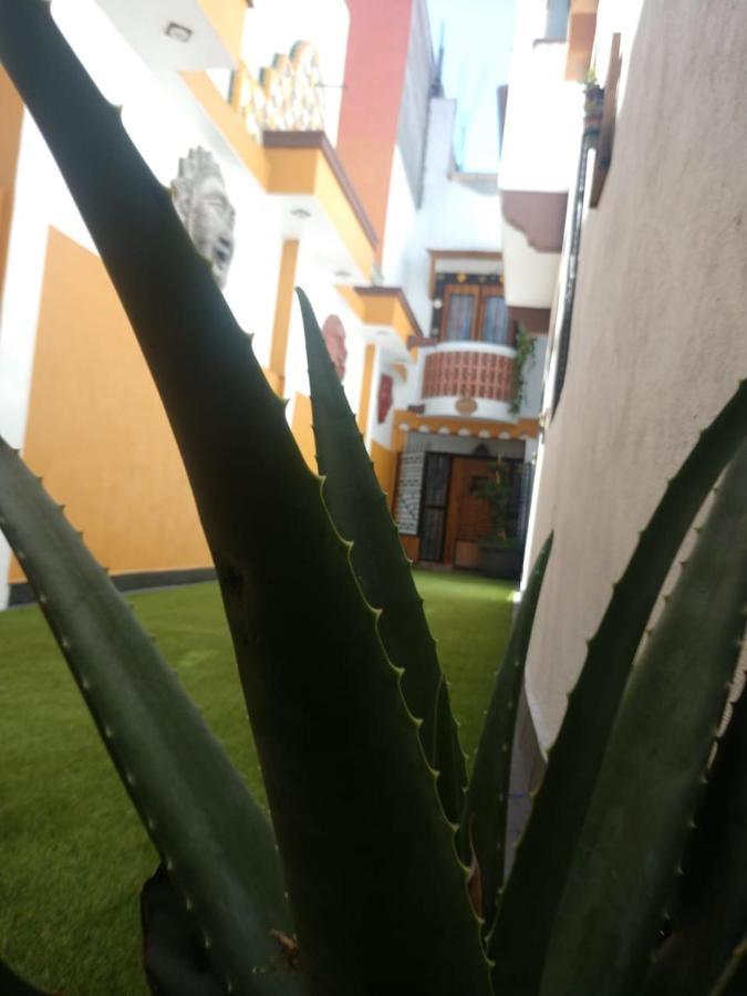 Casa Mexicana Confortable Piso 2
