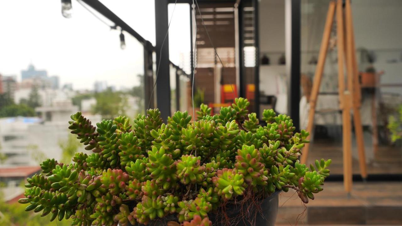 Apartamento Loft Remedios - Penthouse Cdmx - Areas Comunes Compartidas Cidade do México