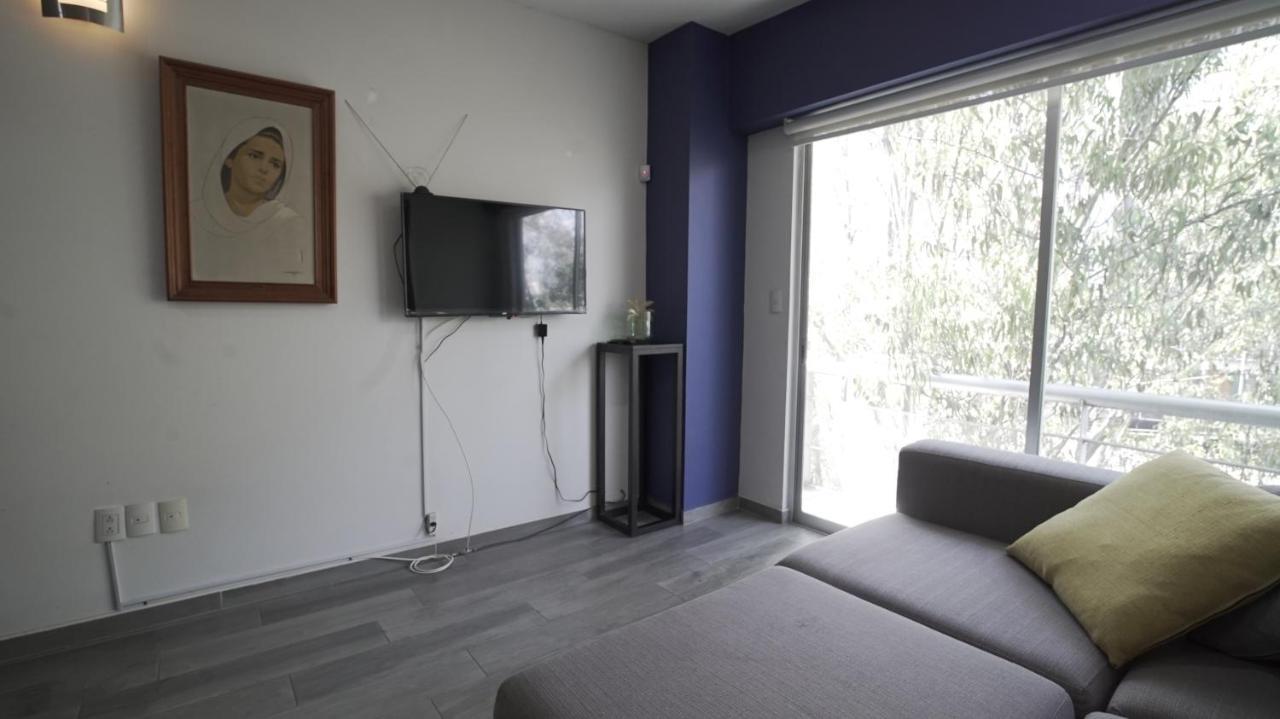 Apartamento One Bedroom Del Valle
