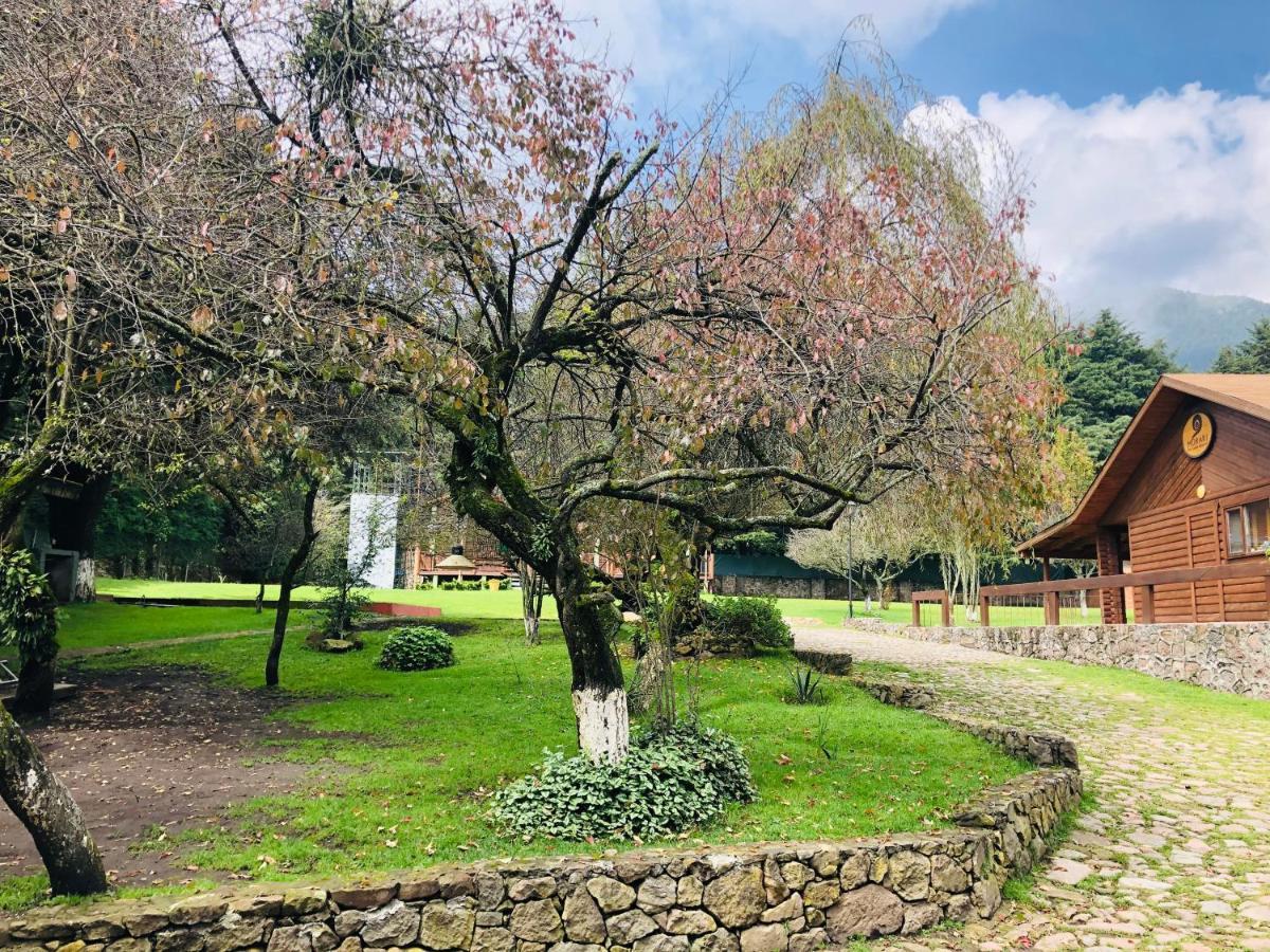 Ecocamp Ajusco 3* Cidade do México