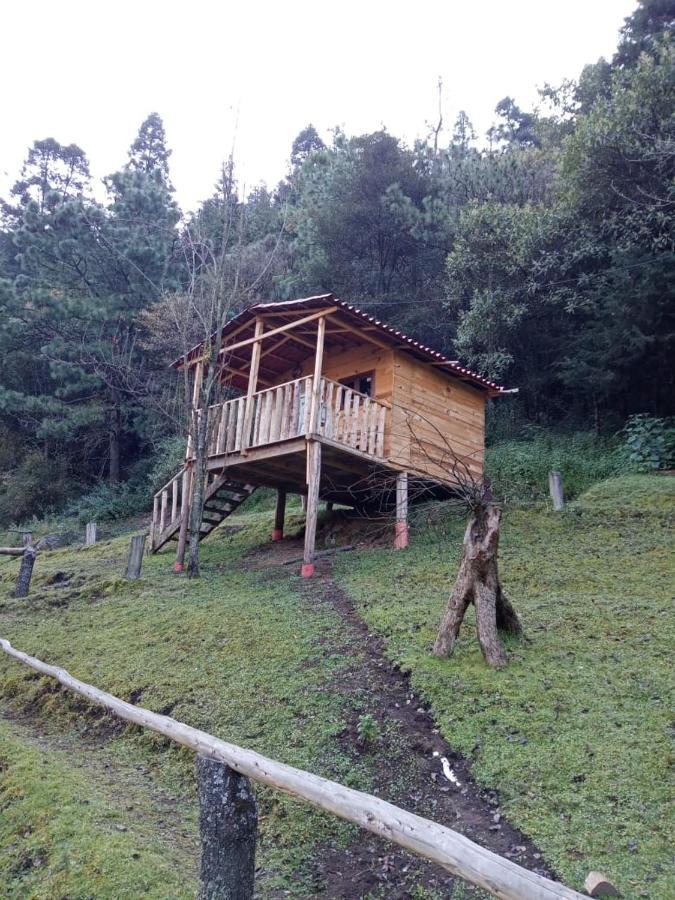 Camping Cabañas *