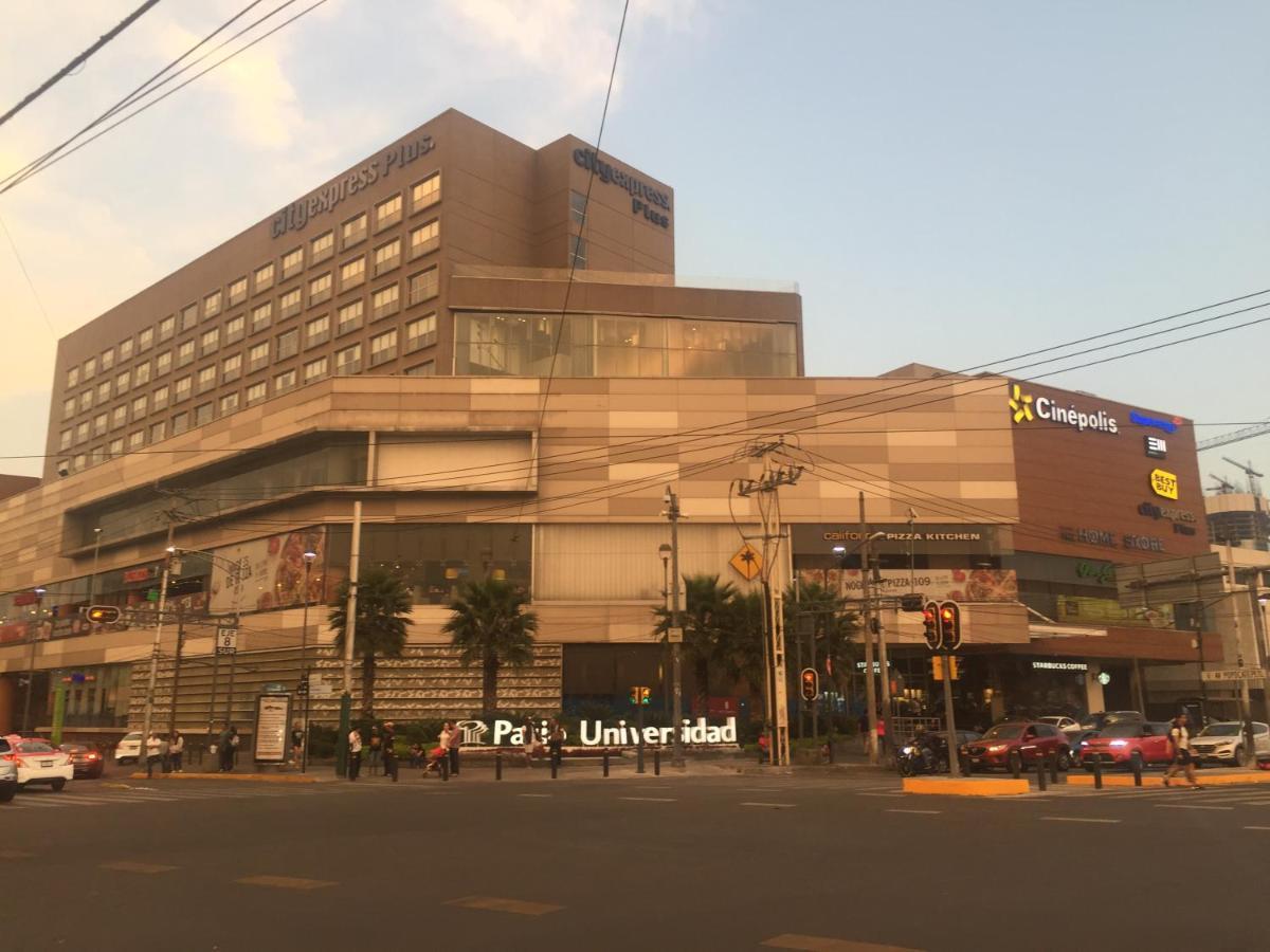 Apartment Blue Dreams Del Valle Mexico City