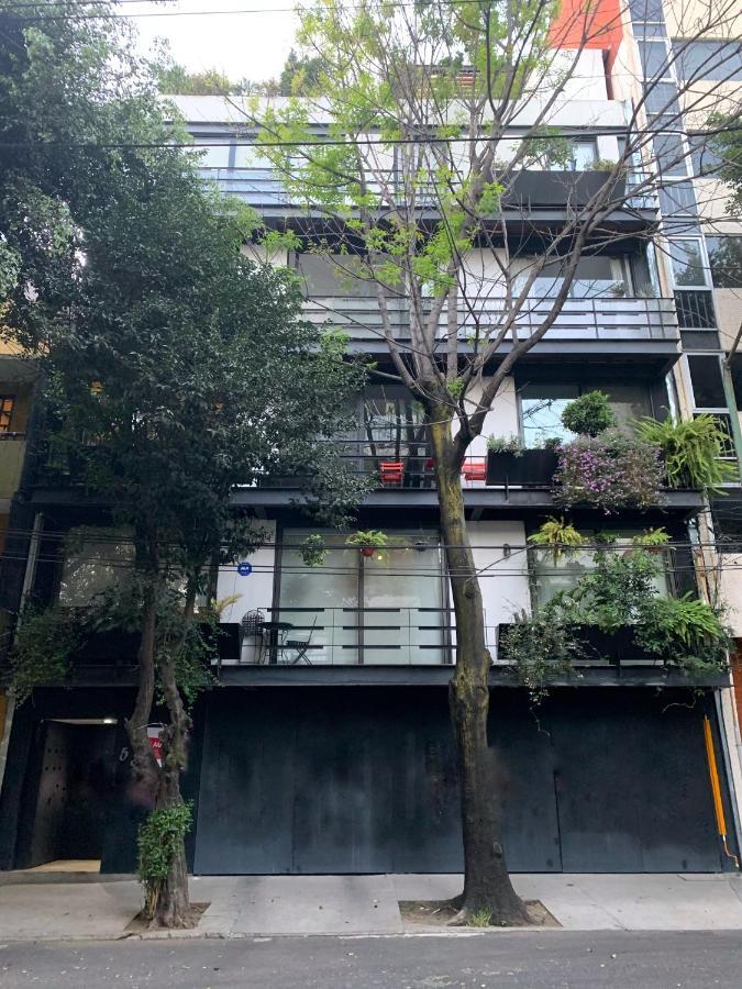 Amazing Garden House In Condesa México DF