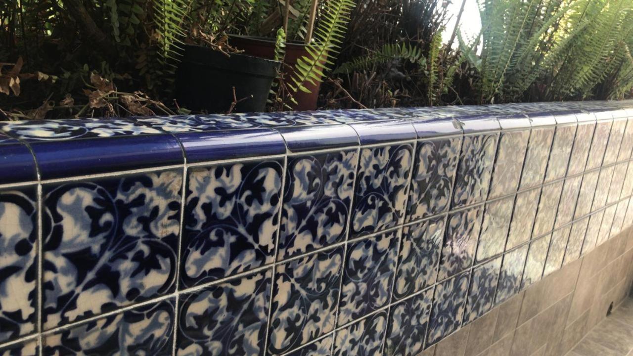 Arte Y Cultura, Casa Polanco. Apartamento