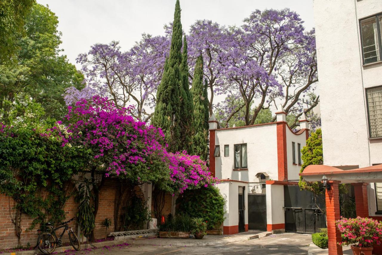 Viva Coyoacan * Mexico City