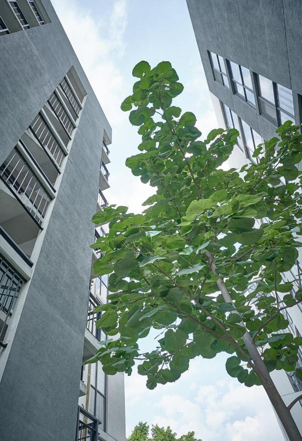 Apartamento Versátil Departamento Ciudad De México