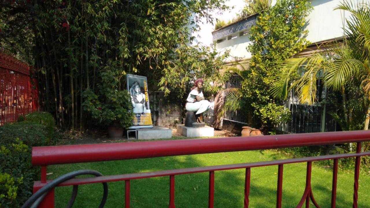 Arte Y Cultura, Casa Polanco. México DF