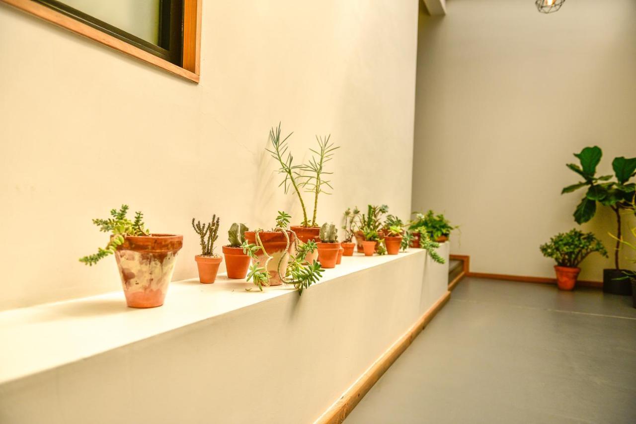 Casa Melgar Guest house Mexico City