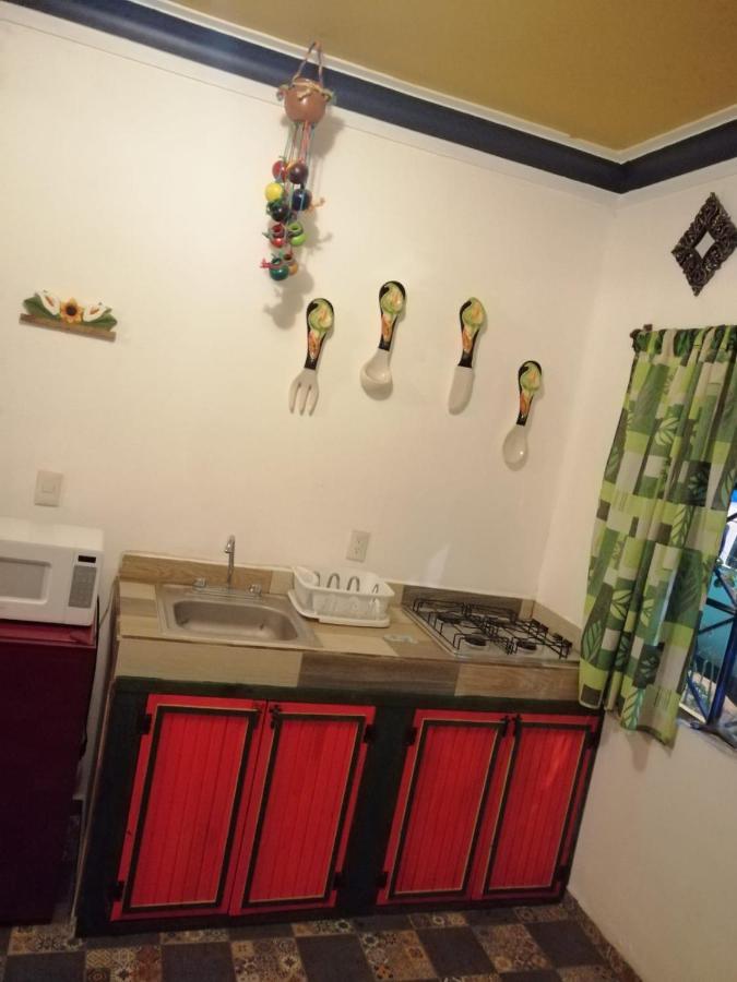 Apartamento La Frida Kahlo Verde 1er Piso