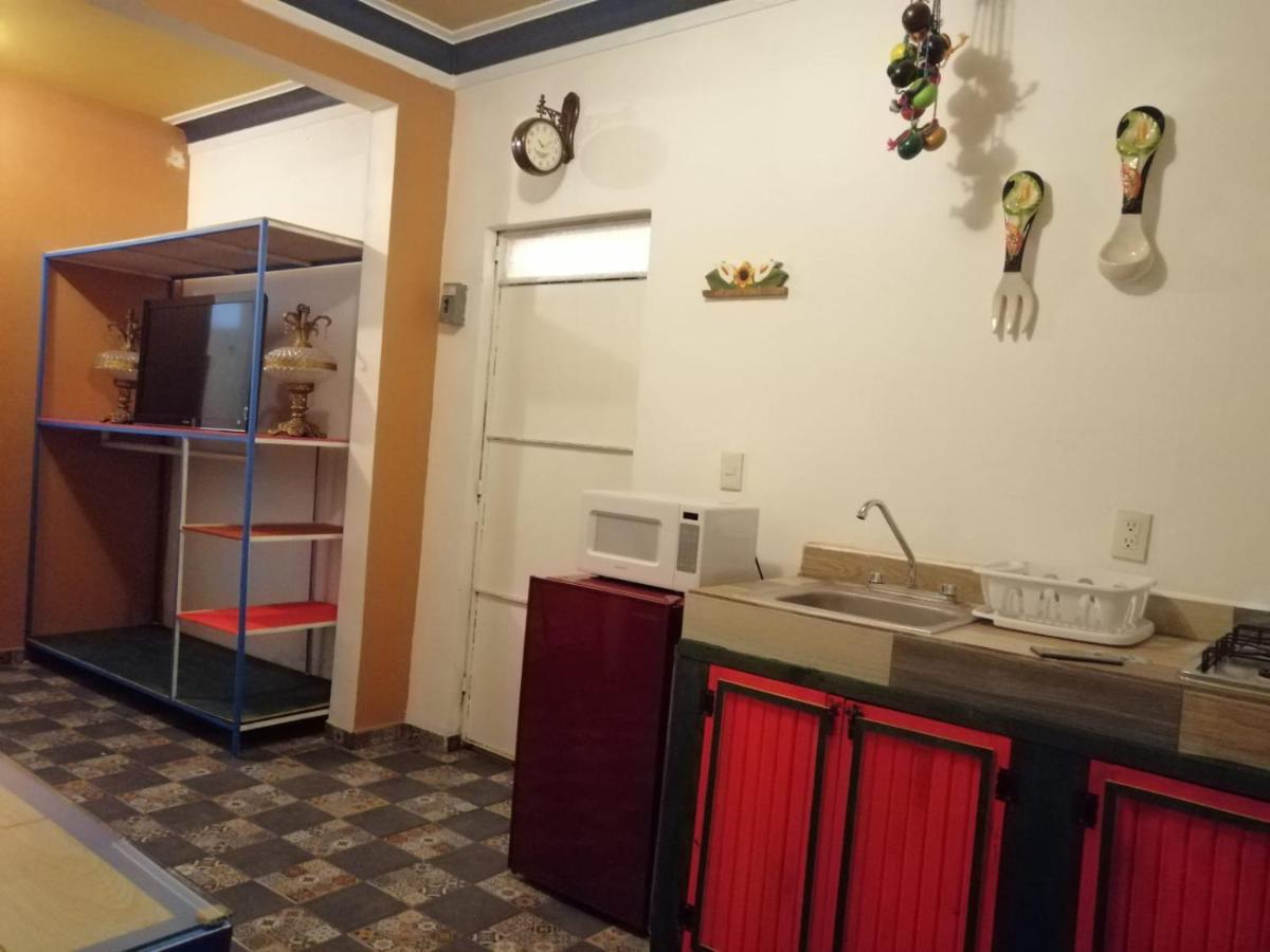 Apartamento La Frida Kahlo Verde 1er Piso *