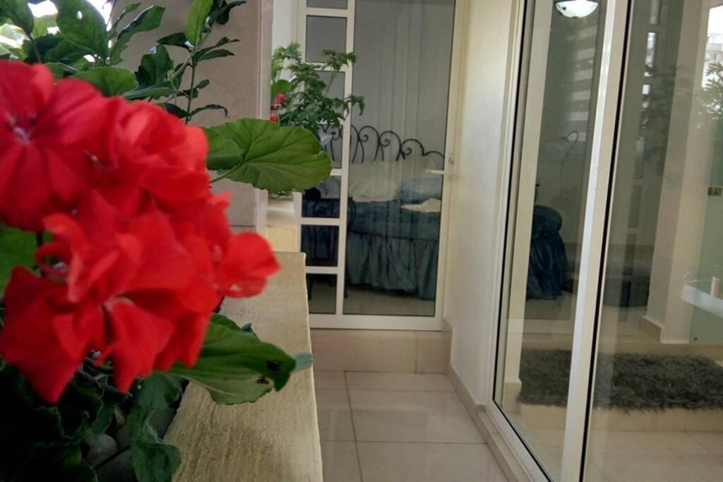 Apartment Departamento Maria Felix - Dpto De 1 Con Bella Terraza Comun - Zona Tranquila En Cdmx *
