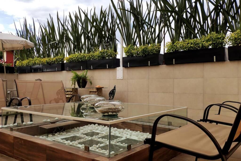 Departamento Maria Felix - Dpto De 1 Con Bella Terraza Comun - Zona Tranquila En Cdmx Mexico City