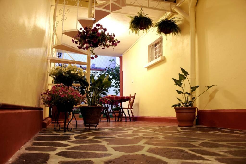 Apartment Departamento Maria Felix - Dpto De 1 Con Bella Terraza Comun - Zona Tranquila En Cdmx *