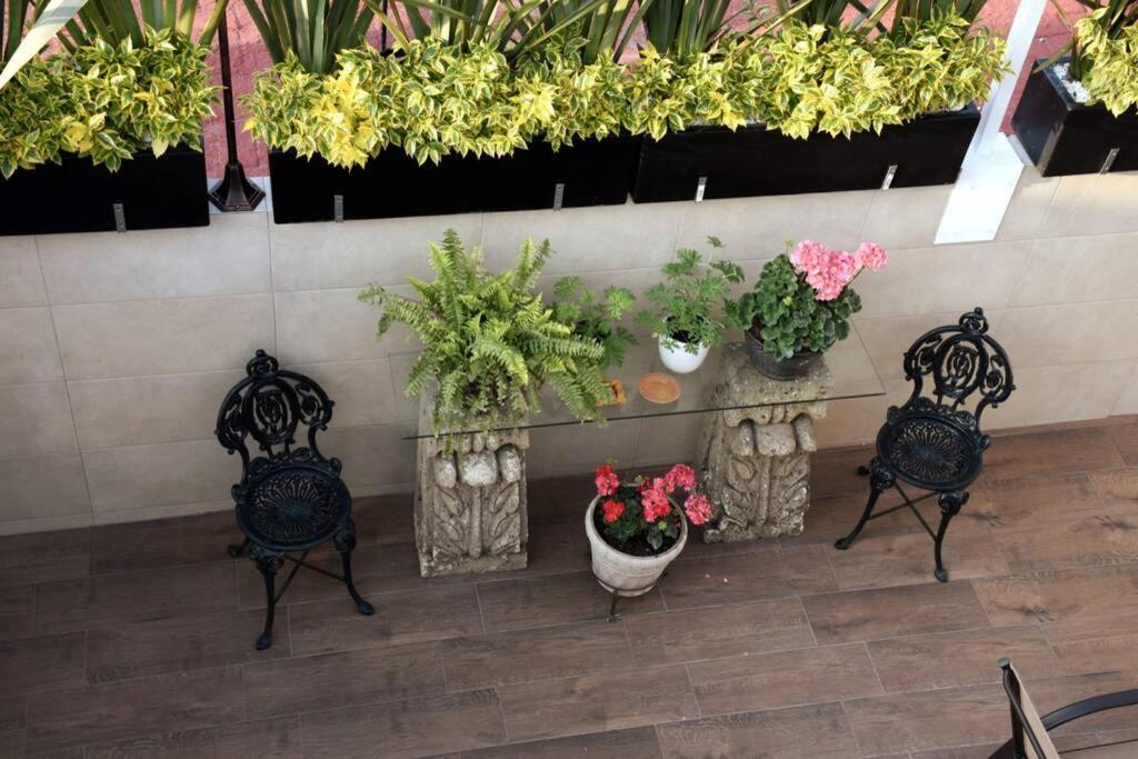 Apartment Departamento Maria Felix - Dpto De 1 Con Bella Terraza Comun - Zona Tranquila En Cdmx Mexico City