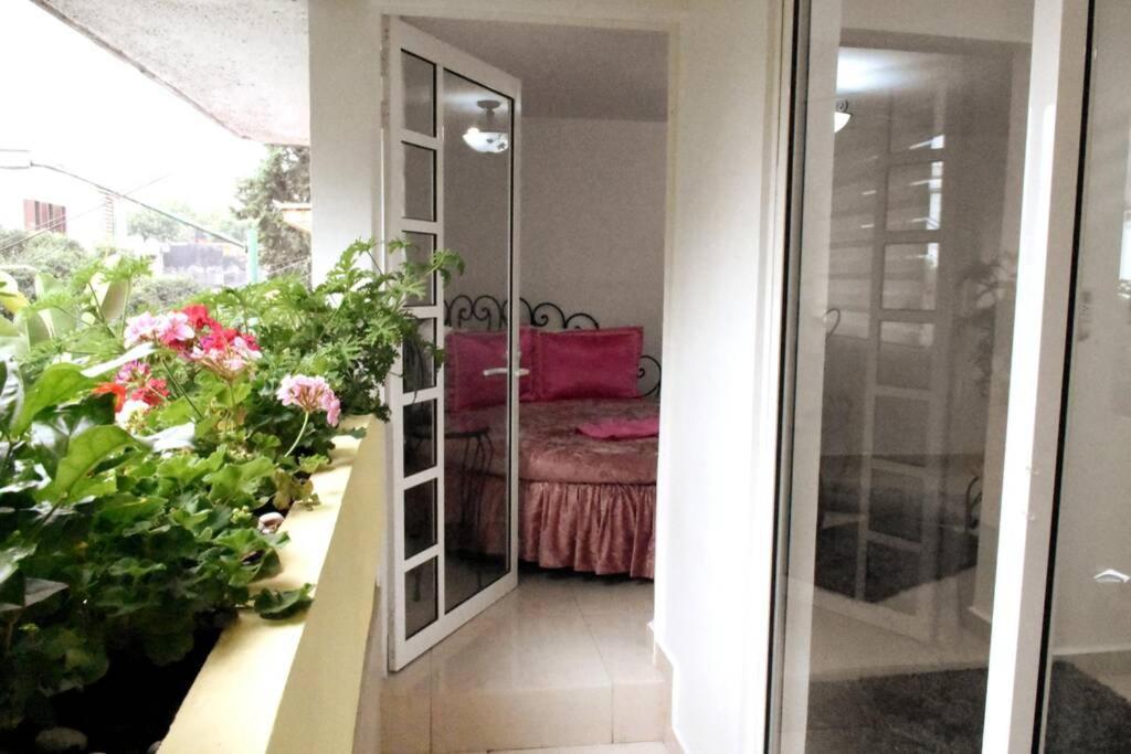 Departamento Maria Felix - Dpto De 1 Con Bella Terraza Comun - Zona Tranquila En Cdmx