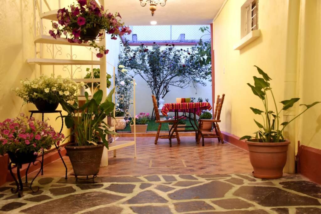 Departamento Maria Felix - Dpto De 1 Con Bella Terraza Comun - Zona Tranquila En Cdmx