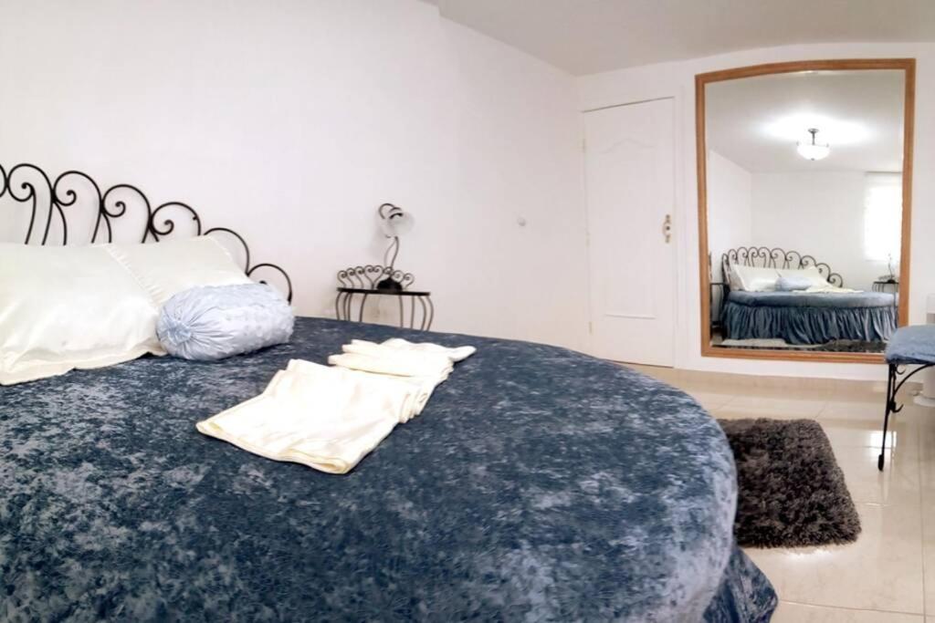 Apartment Departamento Maria Felix - Dpto De 1 Con Bella Terraza Comun - Zona Tranquila En Cdmx *
