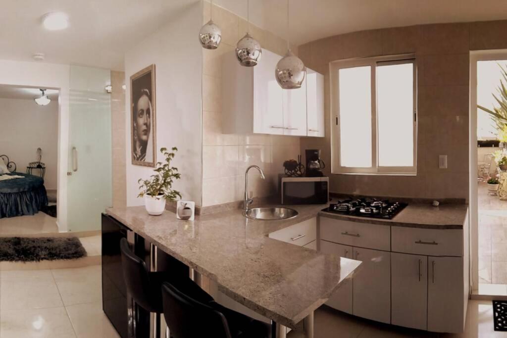 Departamento Maria Felix - Dpto De 1 Con Bella Terraza Comun - Zona Tranquila En Cdmx * Mexico City