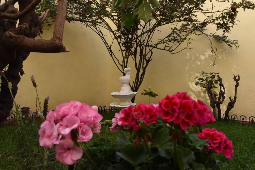 Apartment Departamento Maria Felix - Dpto De 1 Con Bella Terraza Comun - Zona Tranquila En Cdmx Mexico City