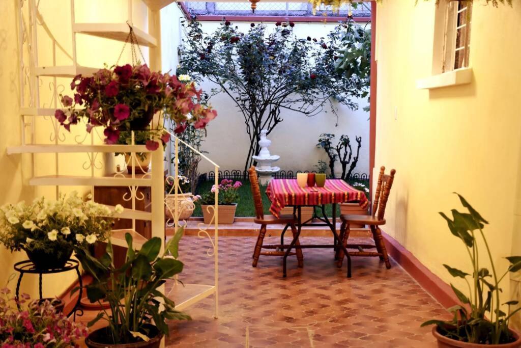 Departamento Maria Felix - Dpto De 1 Con Bella Terraza Comun - Zona Tranquila En Cdmx Apartment *