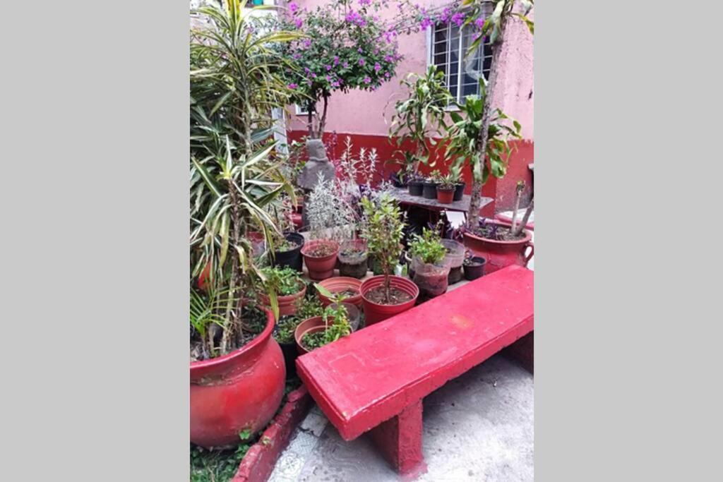 Apartamento Departamentociudadela Corazón En Centro Histórico *