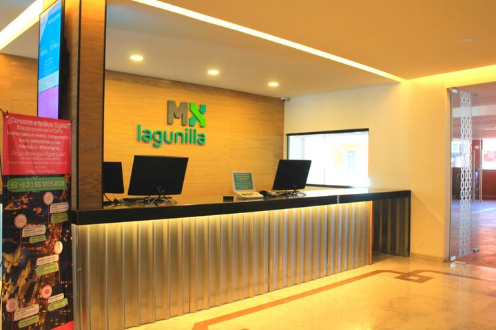 Mx Lagunilla México DF