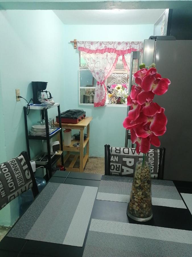 Apartamento Departamento Cercano Al Aeropuerto T2, A 2 Calles México DF