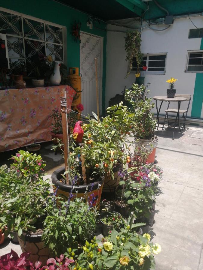 Departamento Cercano Al Aeropuerto T2, A 2 Calles Apartamento *