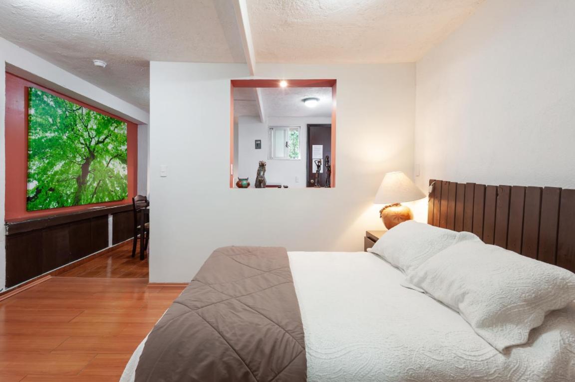 Apartment 5a, Altavista, Garden House, Welcome To San Angel Mexico City