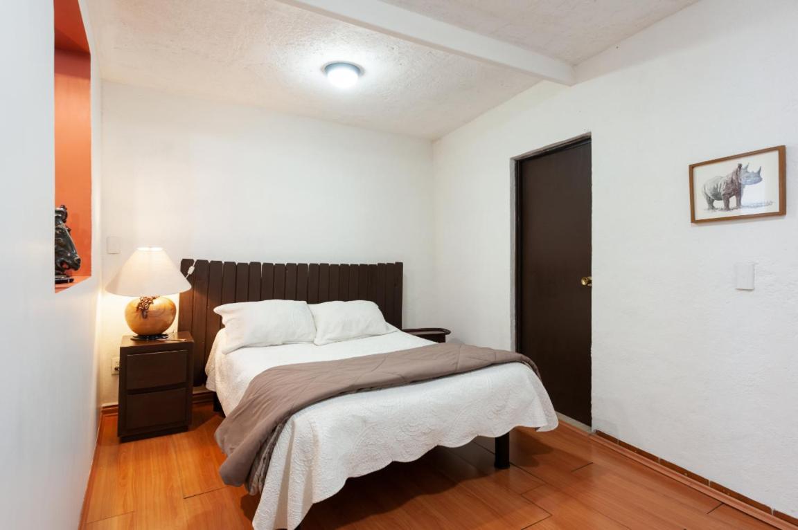 Apartment 5a, Altavista, Garden House, Welcome To San Angel Mexico City