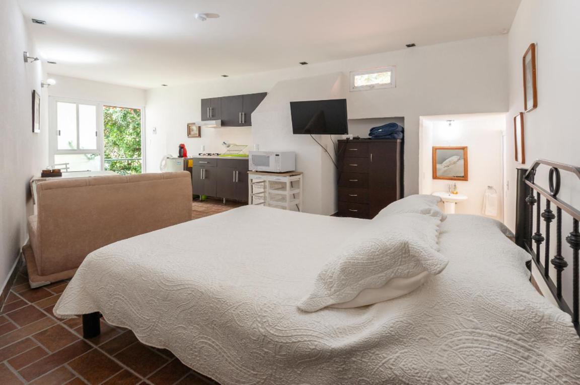 5b, Cultura, Garden House, Welcome To San Angel Apartamento