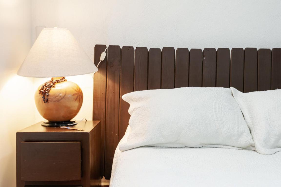 Apartment 5a, Altavista, Garden House, Welcome To San Angel Mexico City