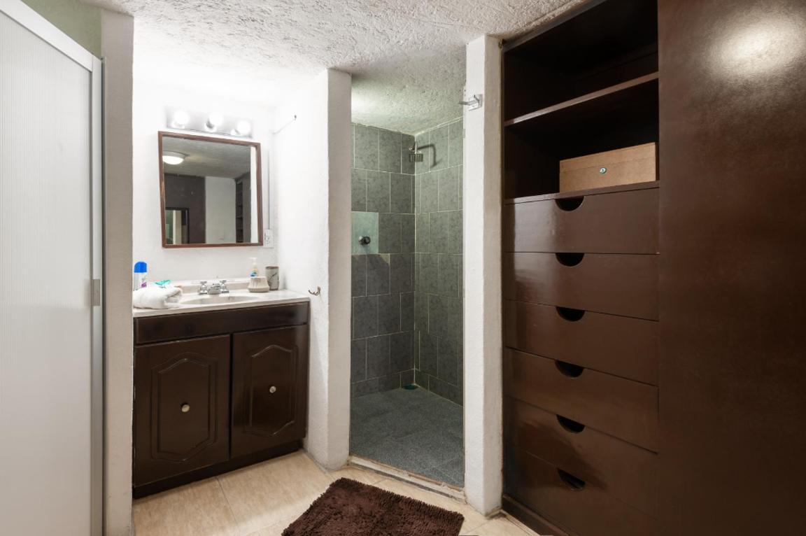 5a, Altavista, Garden House, Welcome To San Angel