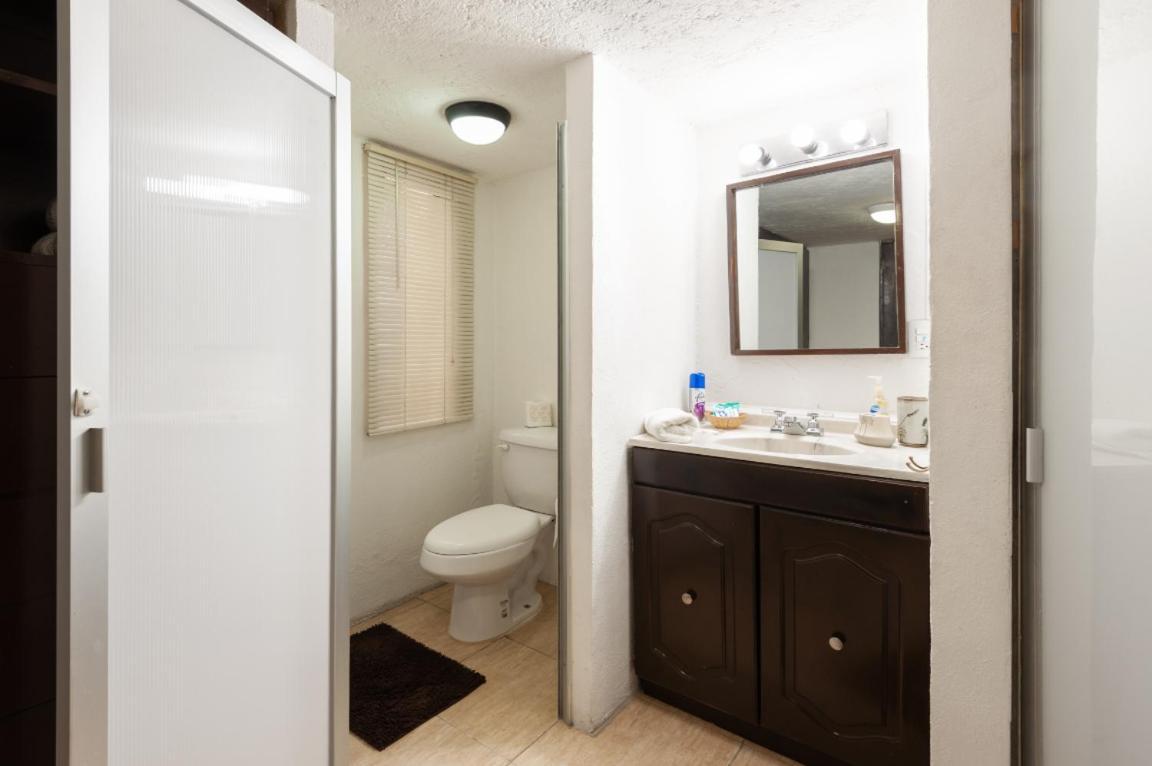 5a, Altavista, Garden House, Welcome To San Angel Apartment
