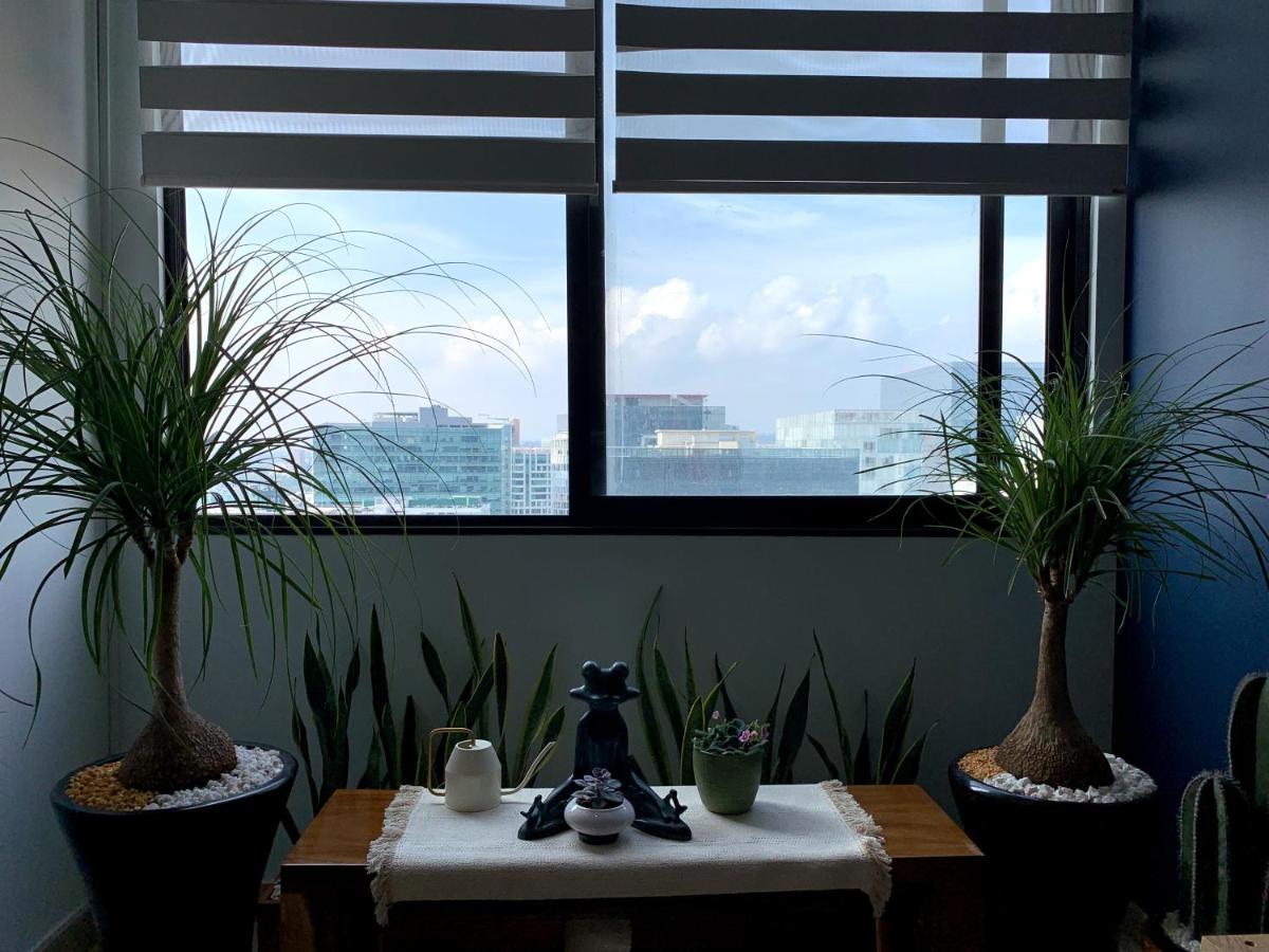 Apartamento Blue Horse In New Polanco.