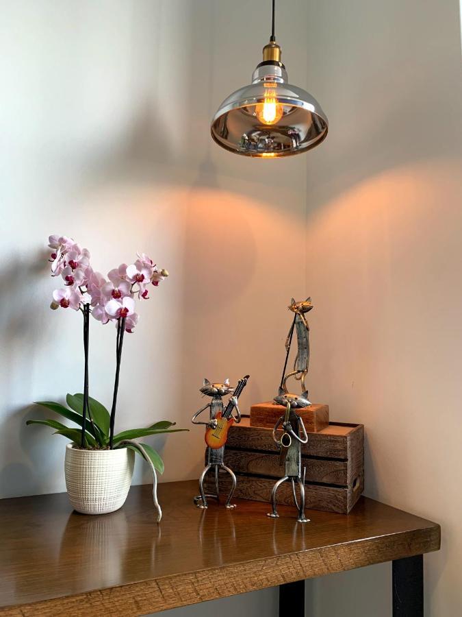 Apartamento Blue Horse In New Polanco.