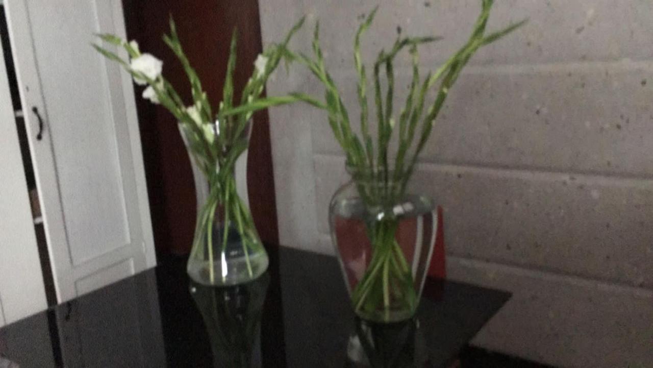 Arte Y Cultura, Casa Polanco. Apartamento *