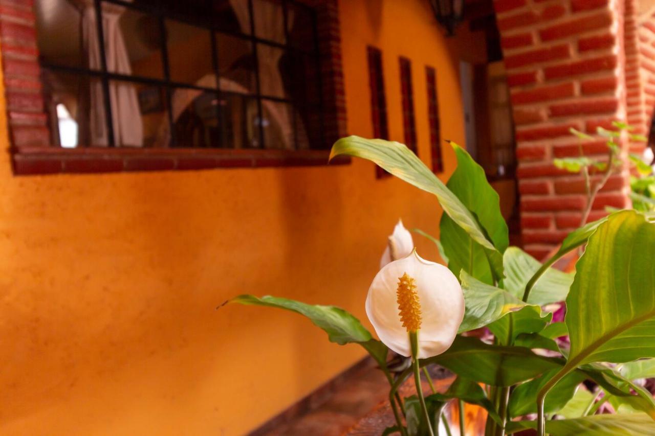 Bed & Breakfast Mex Suites Casa Azul Mexico City