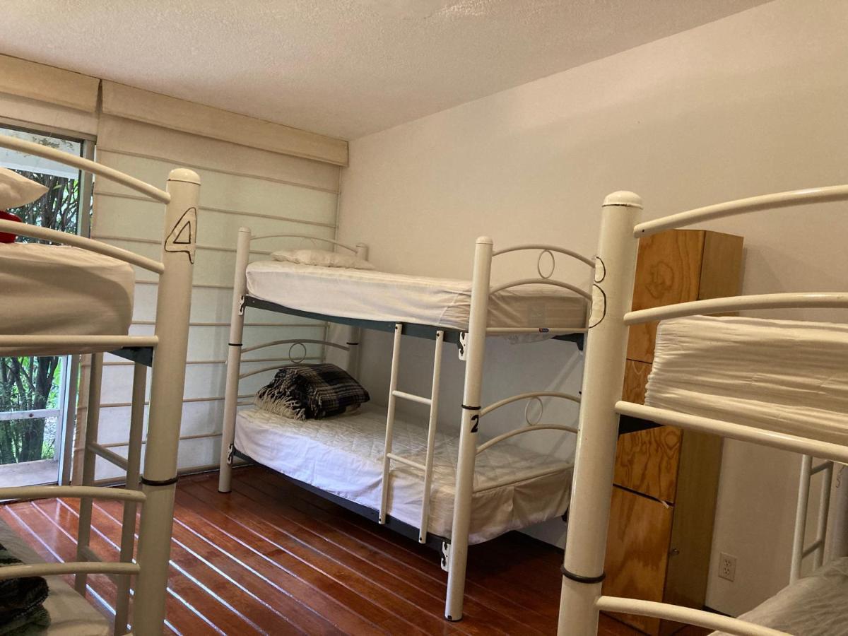 Hostal Cuija Coyoacan Berlin 268 Coyoacan Guest house 2*