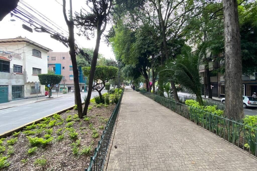 Best Location 3 Bedroom Apt In Condesa Apartamento *