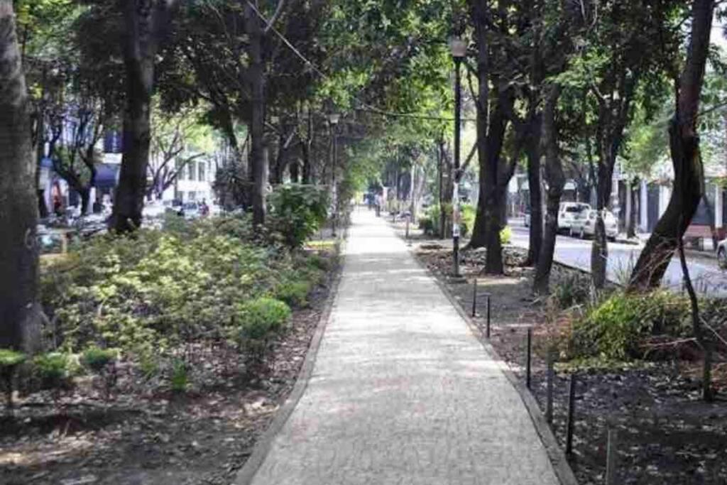 Best Location 3 Bedroom Apt In Condesa Apartamento
