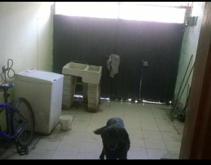 Habitación Con Baño Y Entrada Independiente *