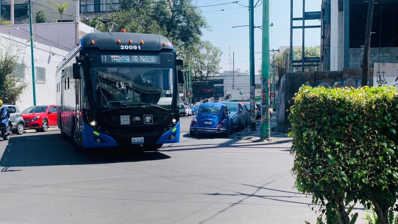 Prado Floresta