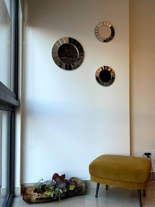 Argento In New Polanco *