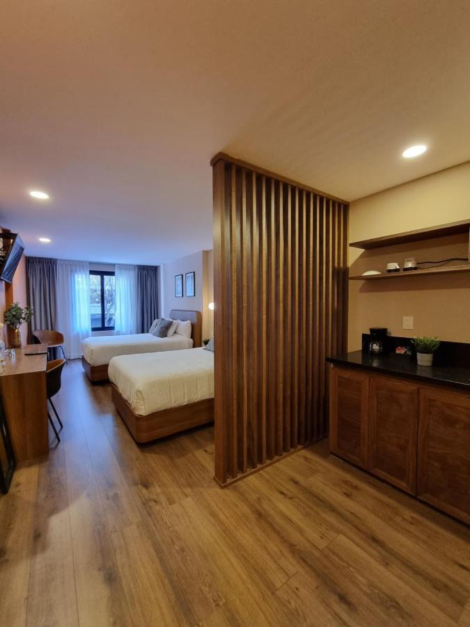Condesa Cibel Apartment Mexico City