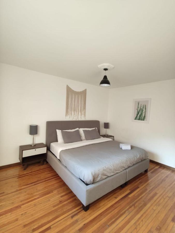 Apartamento 1br Beautiful In Condesa *