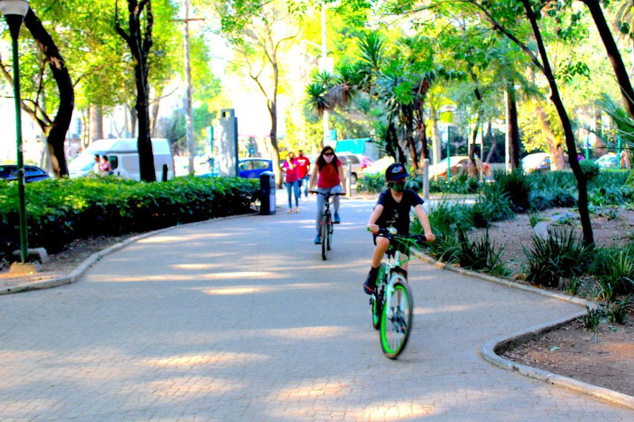 Experience México Condesa, Location, Rooftop Terrace, Coworking, Amazing Artistic Place México DF